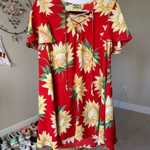 Show Me Your Mumu Dress